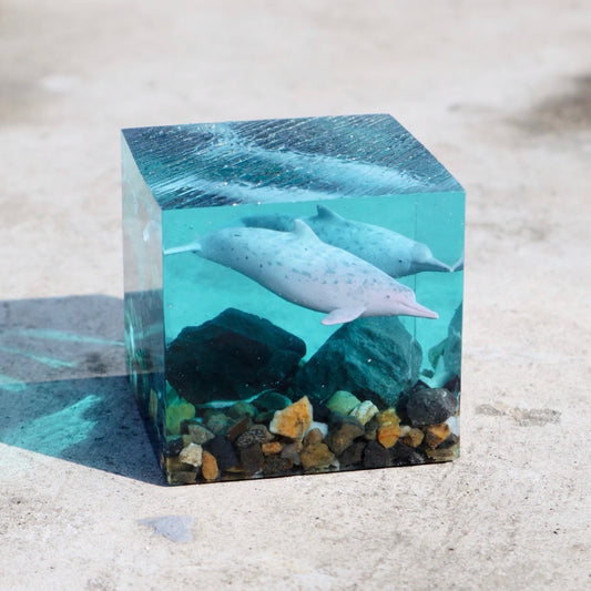 MOVTOYS Sea cube dolphin handmade resin ornaments